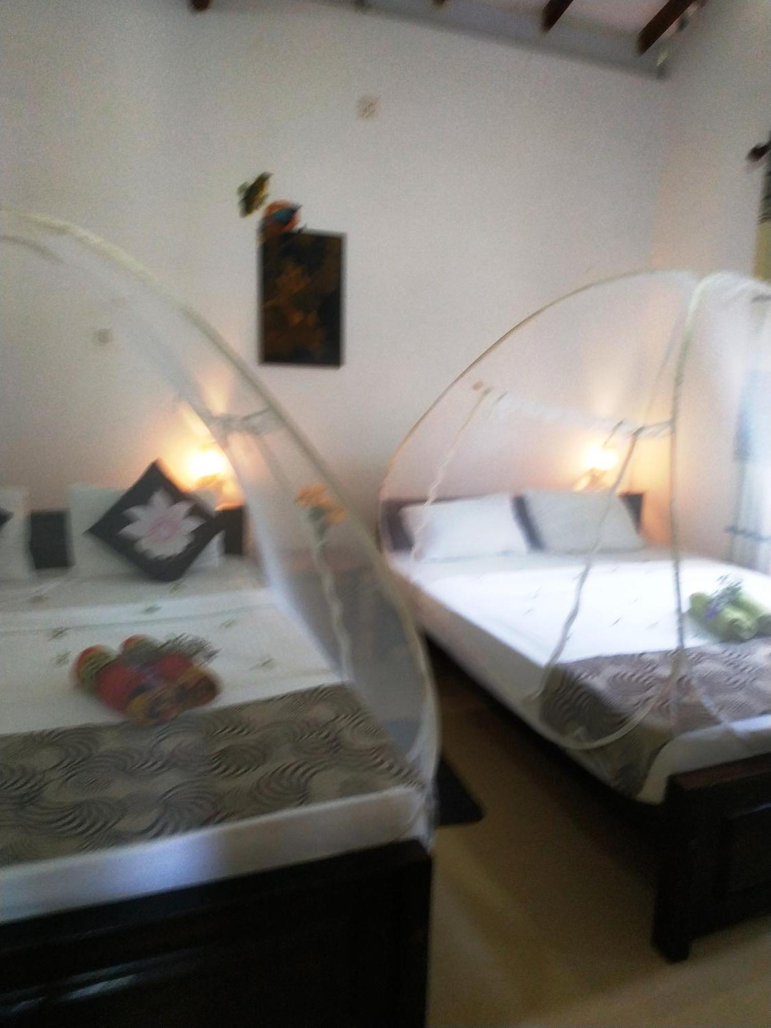 Greenwood Udawalawa Safari Resort Udawalawe Zewnętrze zdjęcie