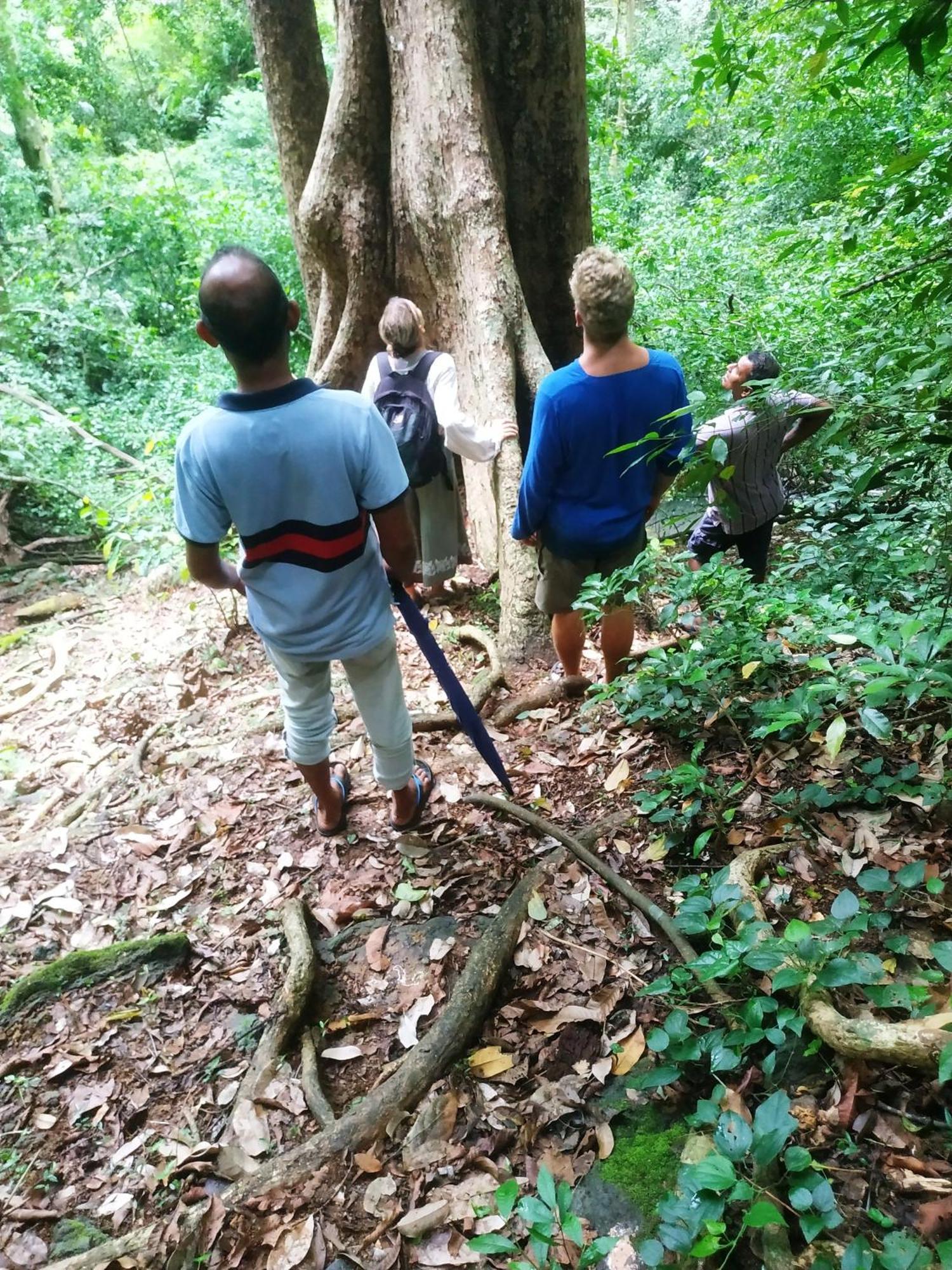 Greenwood Udawalawa Safari Resort Udawalawe Zewnętrze zdjęcie