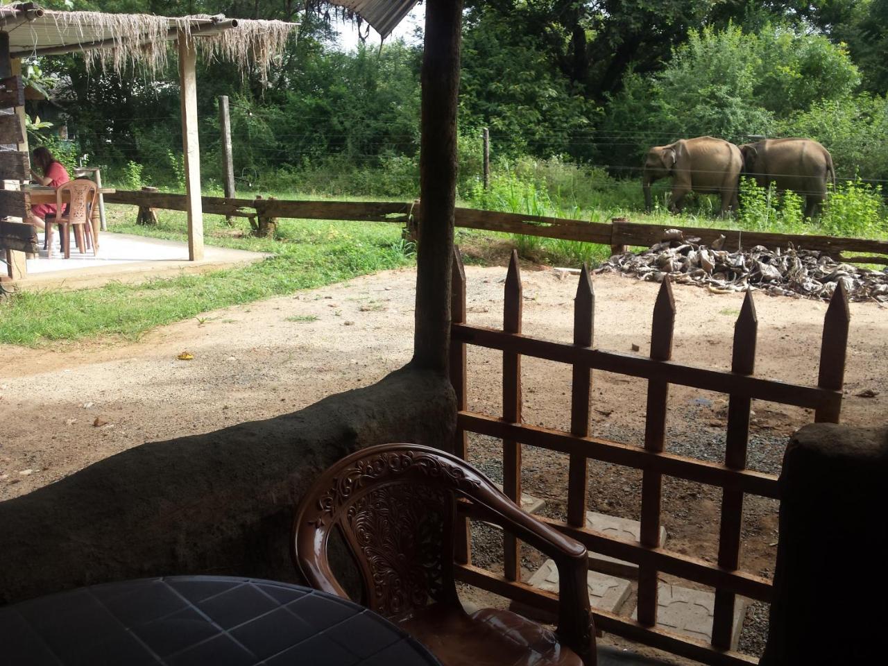 Greenwood Udawalawa Safari Resort Udawalawe Zewnętrze zdjęcie